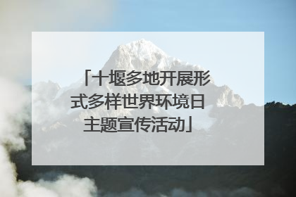 十堰多地开展形式多样世界环境日主题宣传活动