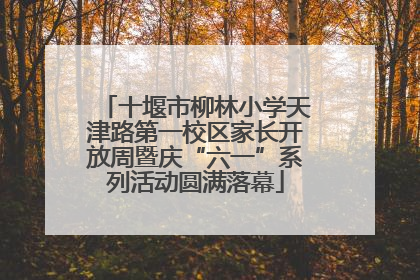 十堰市柳林小学天津路第一校区家长开放周暨庆“六一”系列活动圆满落幕