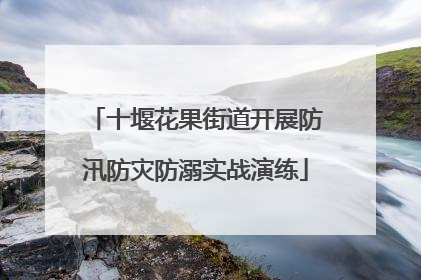 十堰花果街道开展防汛防灾防溺实战演练