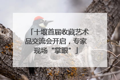十堰首届收藏艺术品交流会开启，专家现场“掌眼”