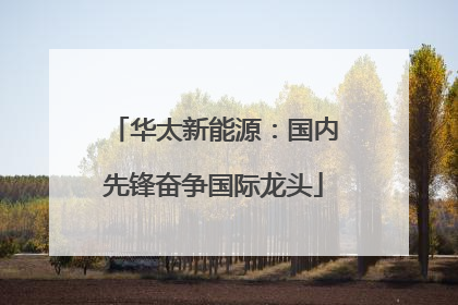 华太新能源：国内先锋奋争国际龙头
