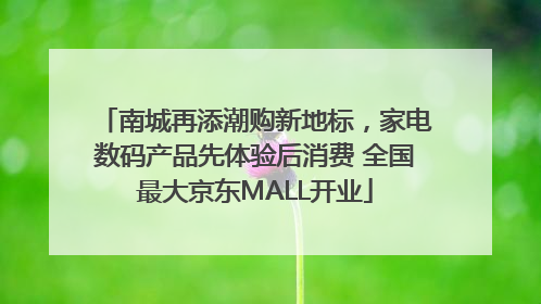南城再添潮购新地标，家电数码产品先体验后消费 全国最大京东MALL开业