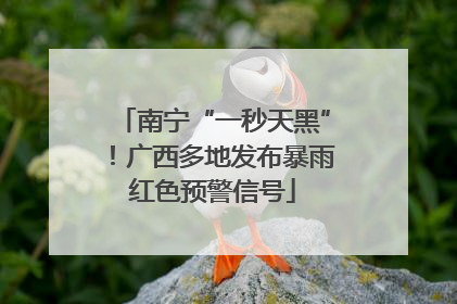 南宁“一秒天黑”！广西多地发布暴雨红色预警信号