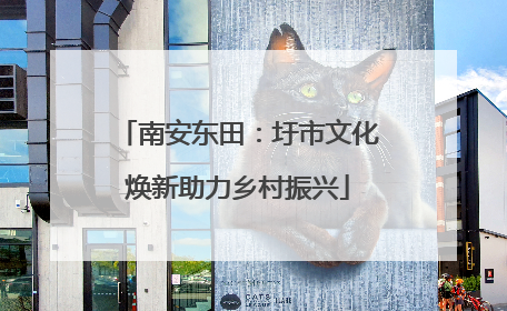 南安东田：圩市文化焕新助力乡村振兴