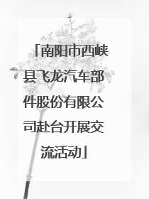 南阳市西峡县飞龙汽车部件股份有限公司赴台开展交流活动
