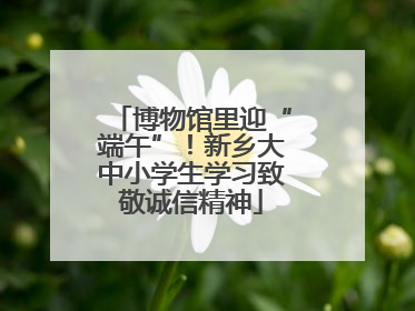 博物馆里迎“端午”！新乡大中小学生学习致敬诚信精神