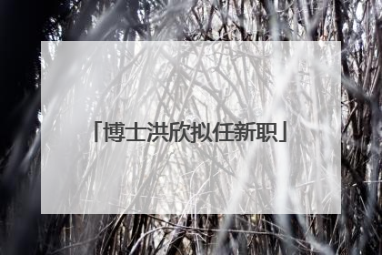 博士洪欣拟任新职