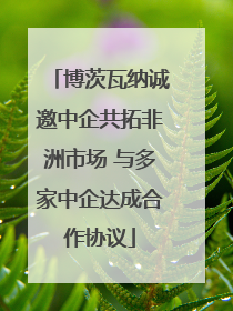 博茨瓦纳诚邀中企共拓非洲市场 与多家中企达成合作协议