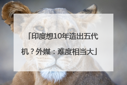 印度想10年造出五代机？外媒：难度相当大