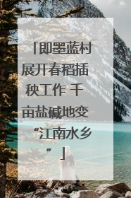 即墨蓝村展开春稻插秧工作 千亩盐碱地变“江南水乡”