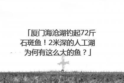厦门海沧湖钓起72斤石斑鱼！2米深的人工湖为何有这么大的鱼？