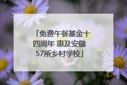 免费午餐基金十四周年 惠及安徽57所乡村学校