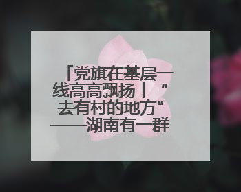 党旗在基层一线高高飘扬丨“去有村的地方”——湖南有一群青年党员这样选择