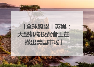 全球瞭望丨英媒：大型机构投资者正在撤出美国市场