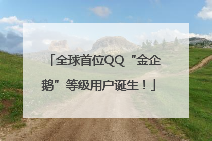 全球首位QQ“金企鹅”等级用户诞生！
