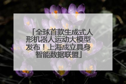 全球首款生成式人形机器人运动大模型发布！上海成立具身智能数据联盟