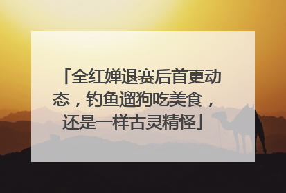 全红婵退赛后首更动态，钓鱼遛狗吃美食，还是一样古灵精怪