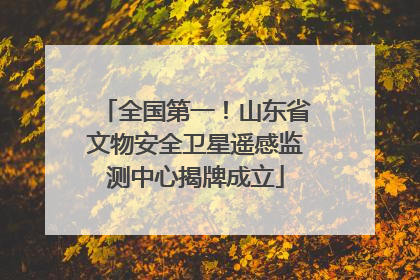全国第一！山东省文物安全卫星遥感监测中心揭牌成立