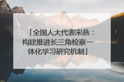全国人大代表宋燕：构建推进长三角检察一体化学习研究机制