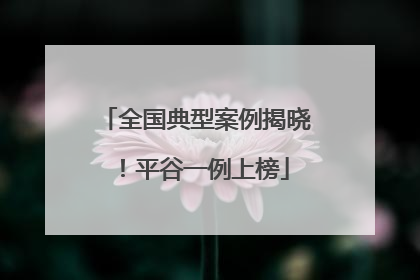 全国典型案例揭晓！平谷一例上榜