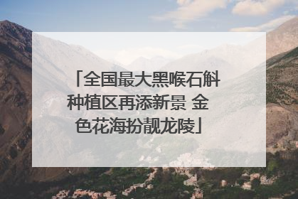 全国最大黑喉石斛种植区再添新景 金色花海扮靓龙陵