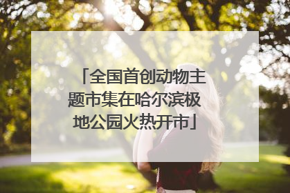 全国首创动物主题市集在哈尔滨极地公园火热开市