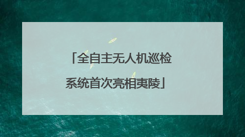 全自主无人机巡检系统首次亮相夷陵