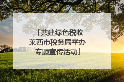 共建绿色税收 莱西市税务局举办专题宣传活动