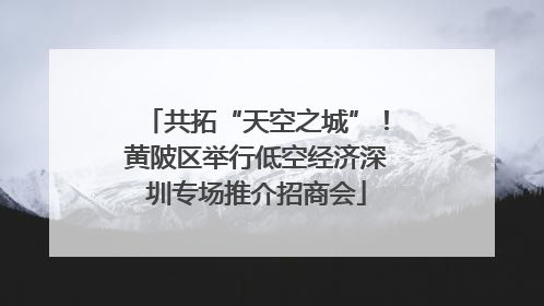 共拓“天空之城”！黄陂区举行低空经济深圳专场推介招商会