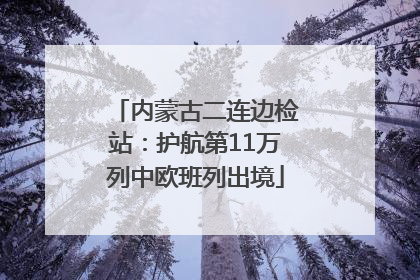 内蒙古二连边检站：护航第11万列中欧班列出境