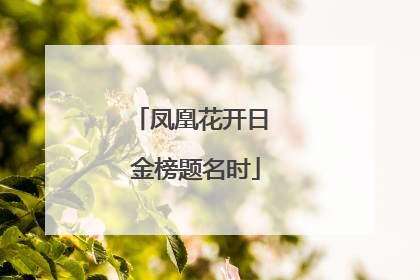 凤凰花开日 金榜题名时