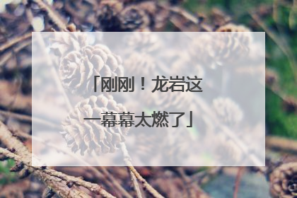 刚刚！龙岩这一幕幕太燃了