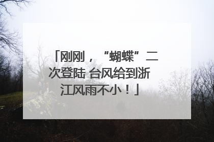 刚刚，“蝴蝶”二次登陆 台风给到浙江风雨不小！