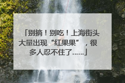 别摘！别吃！上海街头大量出现“红果果”，很多人忍不住了……