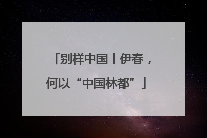 别样中国丨伊春，何以“中国林都”