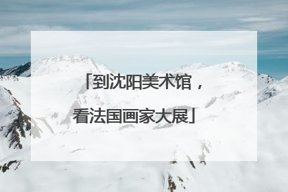 到沈阳美术馆，看法国画家大展