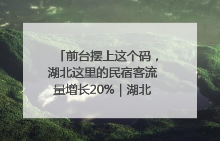 前台摆上这个码，湖北这里的民宿客流量增长20%｜湖北市场监管所的故事