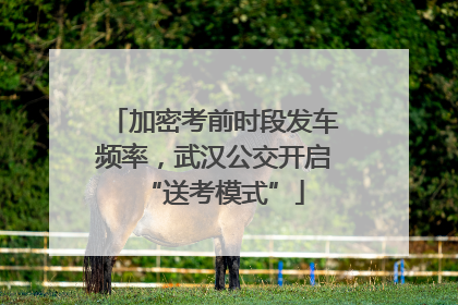 加密考前时段发车频率，武汉公交开启“送考模式”