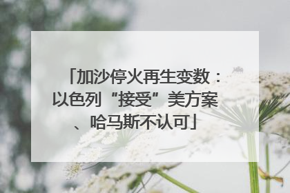 加沙停火再生变数：以色列“接受”美方案、哈马斯不认可
