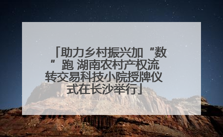 助力乡村振兴加“数”跑 湖南农村产权流转交易科技小院授牌仪式在长沙举行