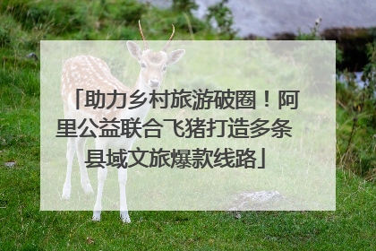 助力乡村旅游破圈！阿里公益联合飞猪打造多条县域文旅爆款线路