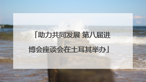 助力共同发展 第八届进博会座谈会在土耳其举办
