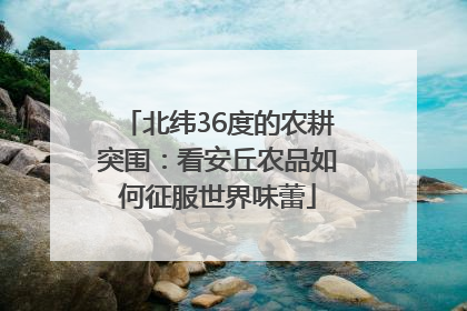 北纬36度的农耕突围：看安丘农品如何征服世界味蕾
