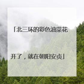 北三环的彩色油菜花开了，就在朝阳安贞