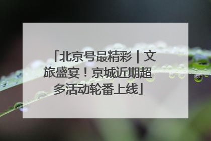 北京号最精彩｜文旅盛宴！京城近期超多活动轮番上线