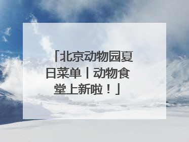 北京动物园夏日菜单丨动物食堂上新啦！
