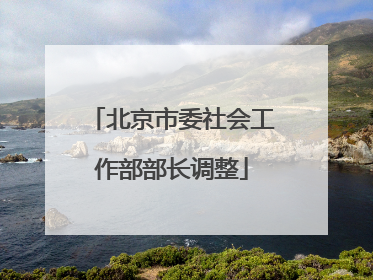 北京市委社会工作部部长调整