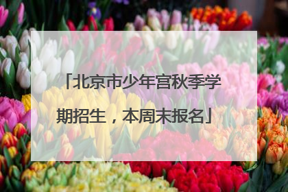 北京市少年宫秋季学期招生，本周末报名
