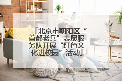 北京市朝阳区“首都老兵”志愿服务队开展“红色文化进校园”活动