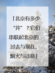 北京有多少“井”？它们串联起北京的过去与现在、烟火与诗意